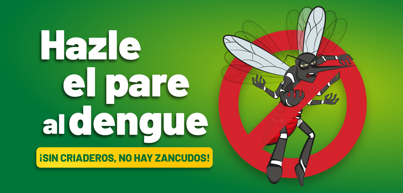 Alerta Dengue Minsa Declara Emergencia Sanitaria En Departamentos