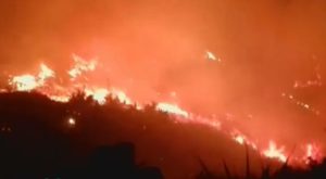 Huánuco: alarma por incendios forestales originados tras quema de tierras