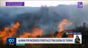 Cientos de hectáreas de cultivo y bosques se han perdido en Huánuco por la práctica de los agriculto