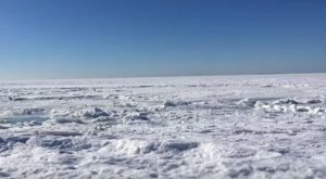 Estados Unidos: el frío extremo congeló el mar en Massachusetts