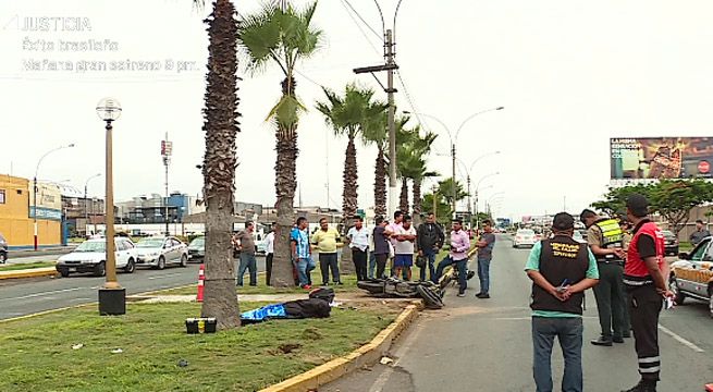 Callao: motociclista falleció al impactar contra palmera