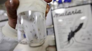 Venezuela: registra el mayor incremento de casos de malaria en el mundo