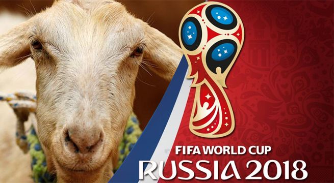 Rusia 2018: la cabra Zabiyaka ya es considerada la nueva oráculo del Mundial