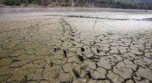 Fenómeno de El Niño: comienza a afectar a Colombia y generaría sequía e incendios