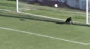 Arquero se equivoca al sacar y perro salva el gol en el fútbol argentino