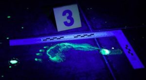 VES: prueba de luminol revela que joven estudiante fue asesinada en su casa