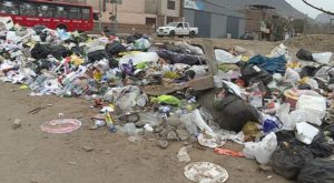 Gusanos, moscas y ratas: calles de Villa María del Triunfo acumuladas de basura