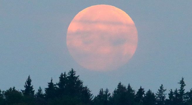 «Súper Luna de Sangre de Lobo» será visible en la costa norte y sur del Perú