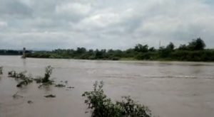 Crecida del río Tumbes afecta a cientos de casas y cultivos