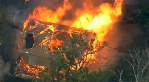 Australia: incendios forestales destruyen bosques y casas