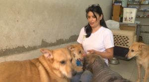 Día Internacional de la Mujer: Peruana funda albergue para perros abandonados y da ejemplo de vida