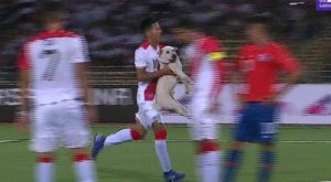 Sudamericano Sub 17: Perrito se robó el show al entrar al campo durante el Perú vs. Chile [Video]