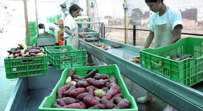 Suspensión de exportación de hortalizas a Bolivia carece de argumentos técnicos