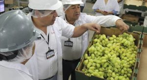 Incorporan Sistema de Garantía Participativo para certificación de productos orgánicos