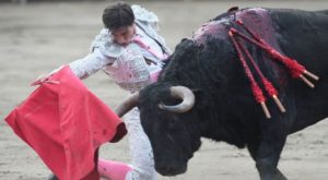 Corridas de toros y peleas de gallos continuarán realizándose tras decisión del TC