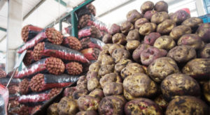 Mercado Mayorista: ¡120 kilos de papa a solo 20 soles!