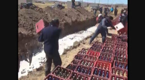 Puno: Destruyen miles de cajas de cerveza y licor adulterado o bamba