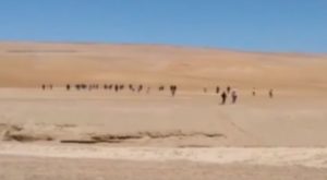 Tacna: peruanos procedentes de Arica entraron caminando al país {VIDEO]