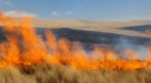 Ayacucho: 500 hectáreas fueron arrasadas por voraz incendio forestal