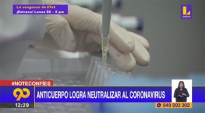 #Covid19: Anticuerpo logra neutralizar al coronavirus [VIDEO]