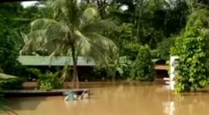 Madre de Dios: centro de rescate pide apoyo para evacuar a animales tras inundación