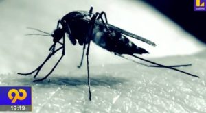 ¿Cómo reconocer los síntomas del dengue?