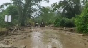 Cusco: cientos de hectáreas agrícolas quedan destruidas tras fuertes lluvias