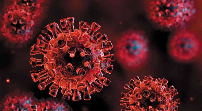 Científicos no descartan que el nuevo coronavirus proceda de un laboratorio