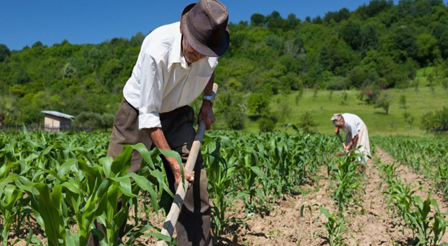 Guido Bellido remarca que segunda reforma agraria “no expropiará tierras”