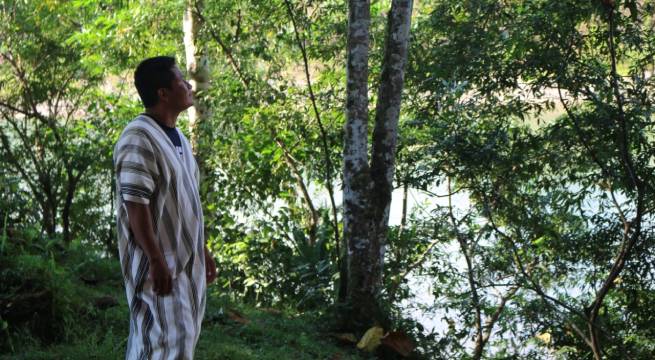 Advierten que se incrementan amenazas en contra de defensores ambientales en Ucayali