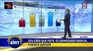 12 % de los peruanos cree que Pedro Castillo es demasiado radical