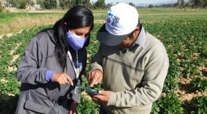 Más de 5 mil pequeños y medianos campesinos mejoran sus ingresos en la agricultura familiar gracias a la asistencia gratuita del MIDAGRI