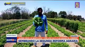 Sembrando la segunda reforma agraria