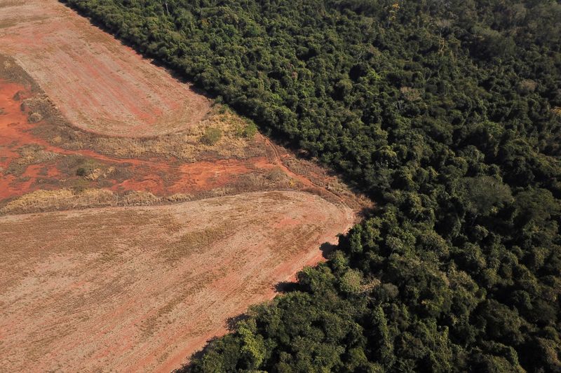 Deforestación en la Amazonía brasileña se dispara en octubre