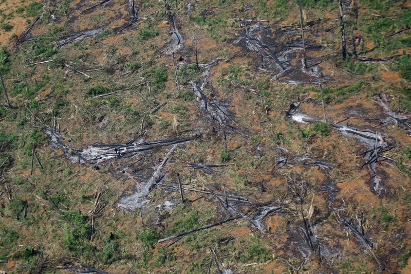 La deforestación de la Amazonia brasileña se dispara un 22% a un máximo de 15 años