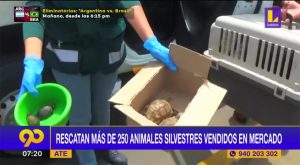 Rescatan a más de 250 animales silvestres que eran vendidos en un mercado de Ate