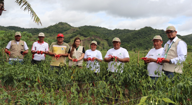 Más de 3.300 pequeños campesinos de la región San Martín mejoraron su economía familiar gracias a la asistencia técnica y gratuita del MIDAGRI
