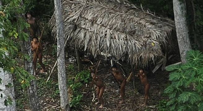 Tribus amazónicas no contactadas están en peligro de extinción en Perú y Brasil