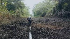 Loreto: se registra nuevo derrame de petróleo en oleoducto