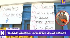 “El ángel de los animales”: joven pide apoyo para rescatar a aves afectadas