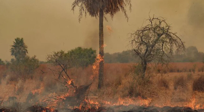Incendios siguen azotando provincia argentina de Corrientes