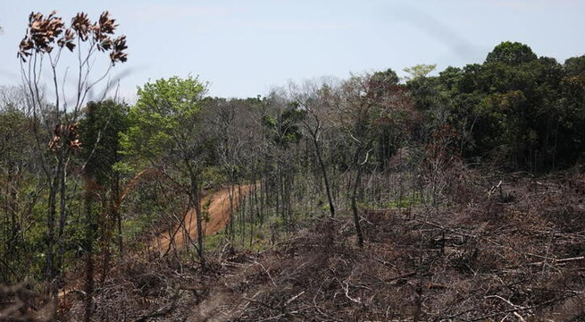 Incendios en Amazonía colombiana prenden alarmas por deforestación