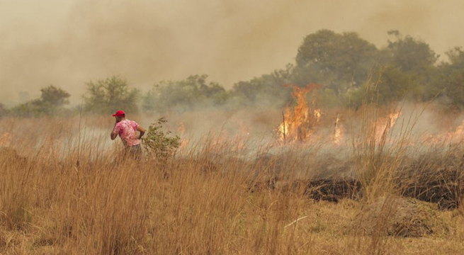 «Una catástrofe»: incendios siguen arrasando provincia argentina de Corrientes