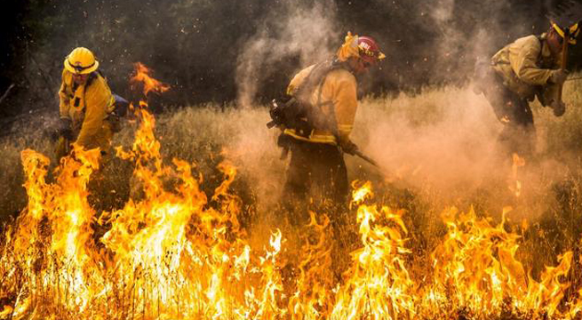 Los incendios forestales extremos han llegado para quedarse y multiplicarse