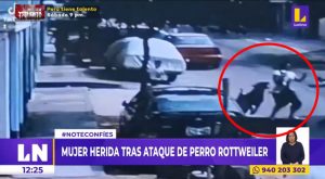 SJL: mujer queda herida tras ataque de perro rottweiler