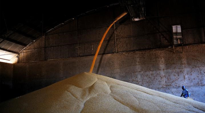 Brasil aumenta exportaciones de maíz y trigo ante escalada de crisis en Ucrania