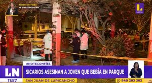 San Juan de Lurigancho: sicarios asesinan a joven que bebía en parque