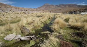 Corte de La Haya fija para abril audiencia oral en disputa por río entre Chile y Bolivia