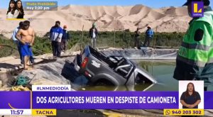 Tacna: dos agricultores mueren tras despiste de camioneta