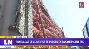 Toneladas de alimentos se pudren en la Panamericana Sur